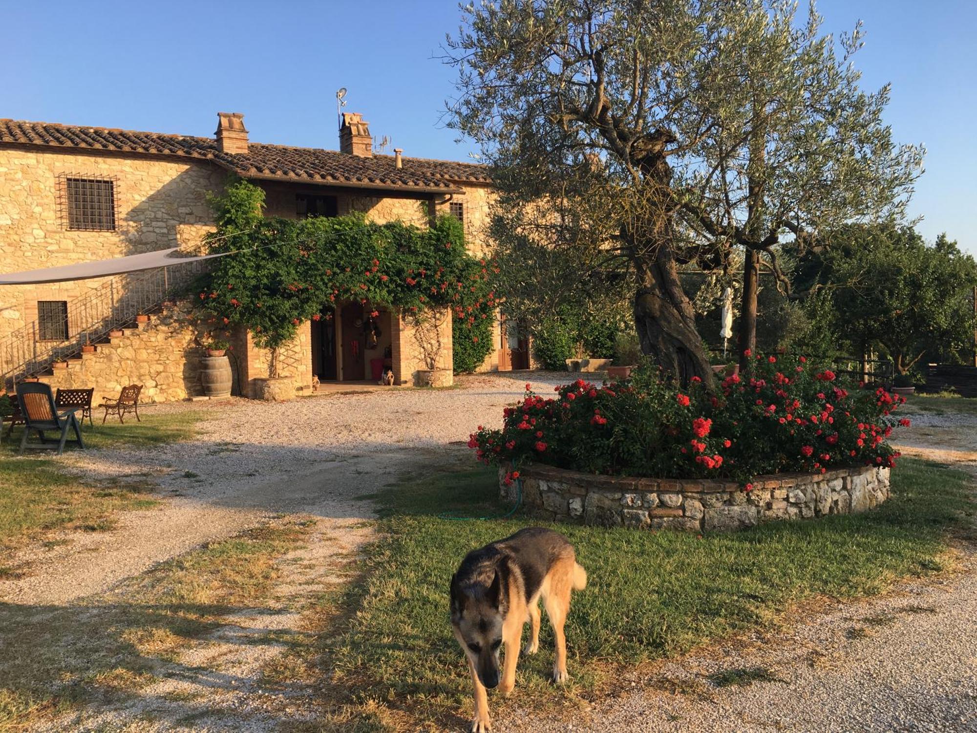 Agriturismo Podere Dell' Olmo أميليا المظهر الخارجي الصورة