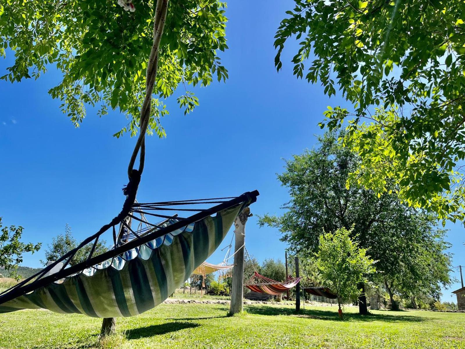 Agriturismo Podere Dell' Olmo أميليا المظهر الخارجي الصورة