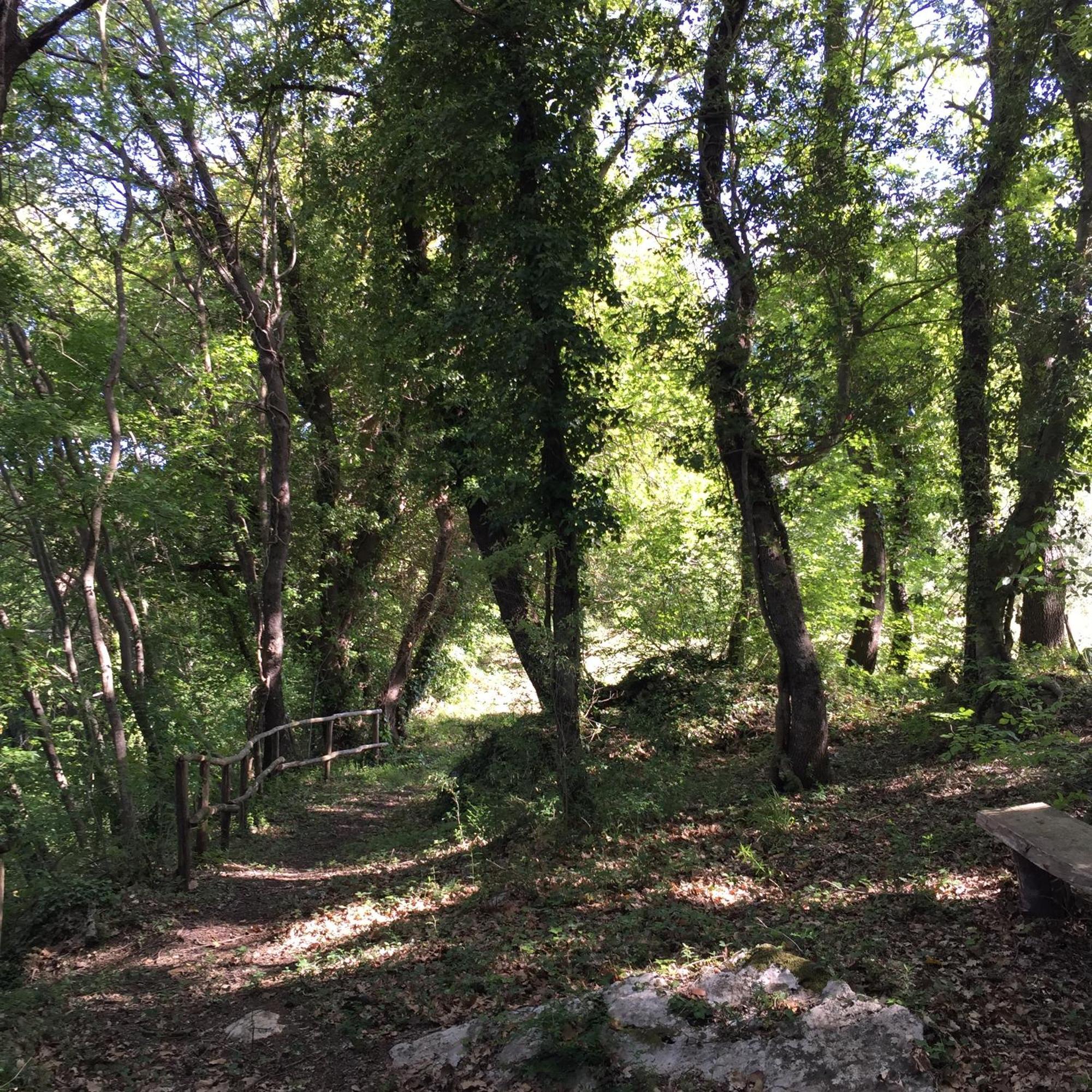 Agriturismo Podere Dell' Olmo أميليا المظهر الخارجي الصورة