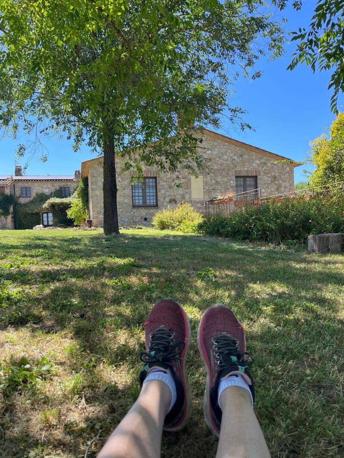 Agriturismo Podere Dell' Olmo أميليا المظهر الخارجي الصورة