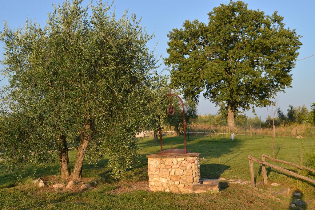 Agriturismo Podere Dell' Olmo أميليا المظهر الخارجي الصورة
