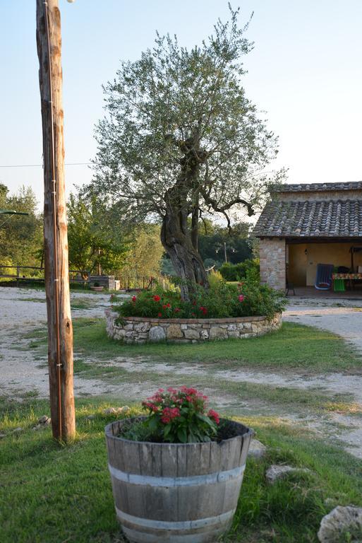 Agriturismo Podere Dell' Olmo أميليا المظهر الخارجي الصورة