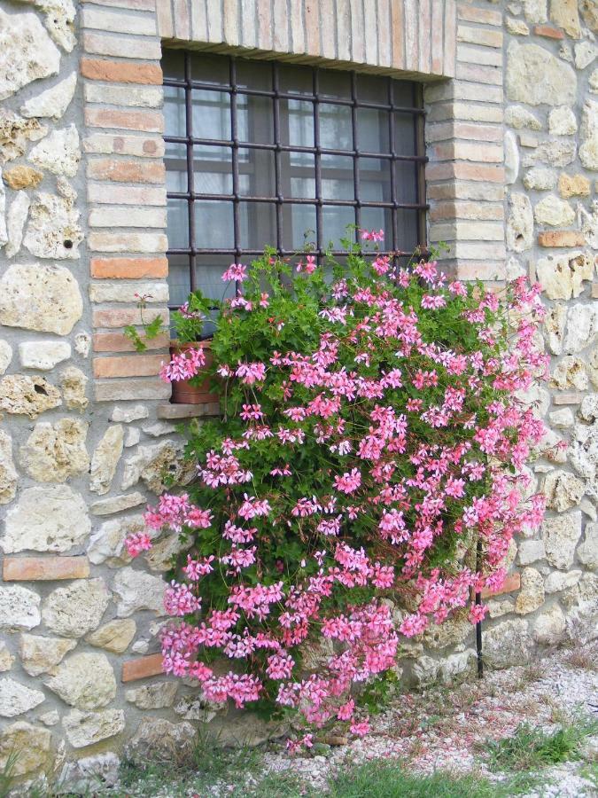 Agriturismo Podere Dell' Olmo أميليا المظهر الخارجي الصورة